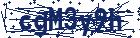 captcha here