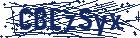 captcha here