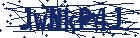captcha here