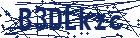 captcha here