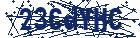 captcha here