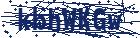 captcha here