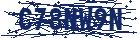 captcha here