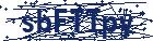 captcha here