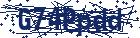 captcha here