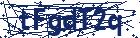 captcha here