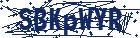captcha here