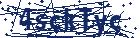 captcha here