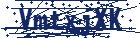 captcha here