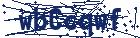 captcha here