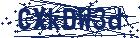 captcha here