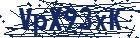 captcha here