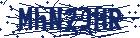 captcha here