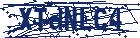 captcha here