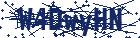 captcha here