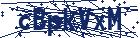 captcha here