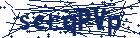 captcha here