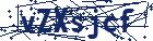 captcha here