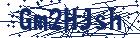 captcha here