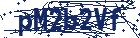 captcha here