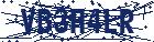 captcha here
