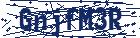 captcha here