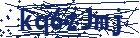 captcha here