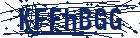 captcha here
