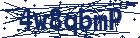 captcha here