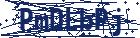 captcha here