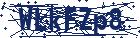 captcha here