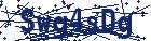 captcha here