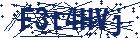 captcha here