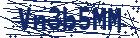 captcha here