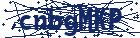 captcha here