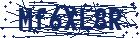 captcha here