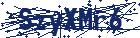 captcha here