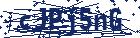 captcha here