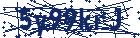 captcha here