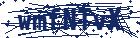 captcha here