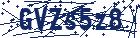 captcha here