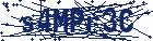 captcha here