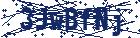 captcha here