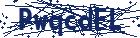captcha here