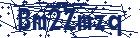 captcha here