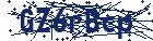 captcha here