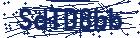 captcha here