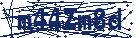 captcha here