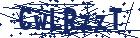 captcha here