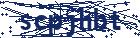 captcha here